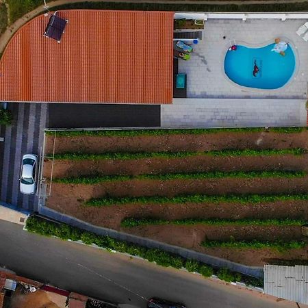 Casinha Das Bonecas - Casa Com Piscina Privada Aveiro Ngoại thất bức ảnh