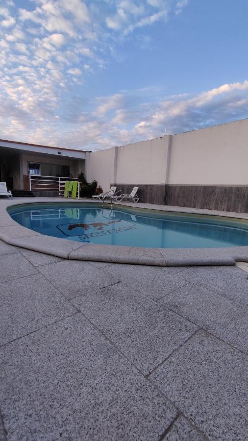 Casinha Das Bonecas - Casa Com Piscina Privada Aveiro Ngoại thất bức ảnh